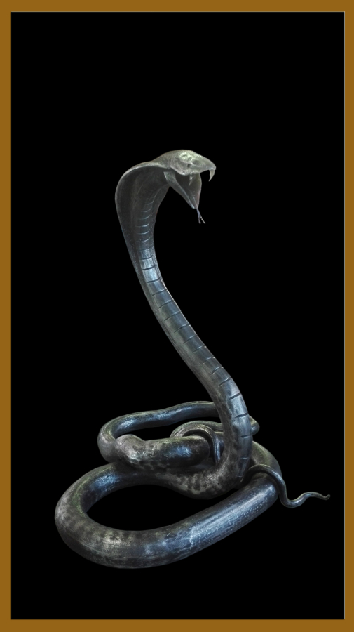 Cobra
